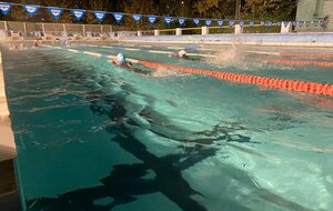 Saison 2022 : entrainements natation 